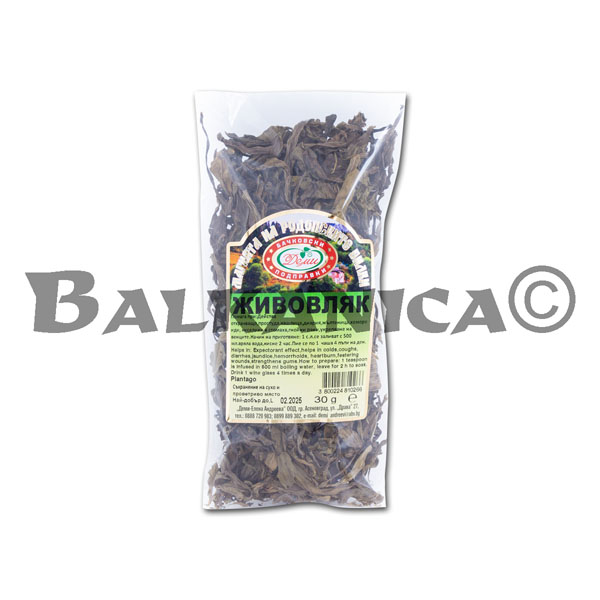 30 G TEA PLANTAGO LEAVES DEMI 30 G TEA PLANTAGO LEAVES DEMI